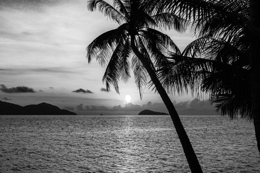 Photograph by Игорь Окунев