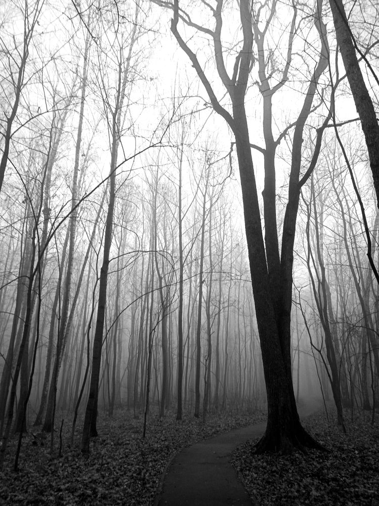 Photograph by Eлена Смирнова