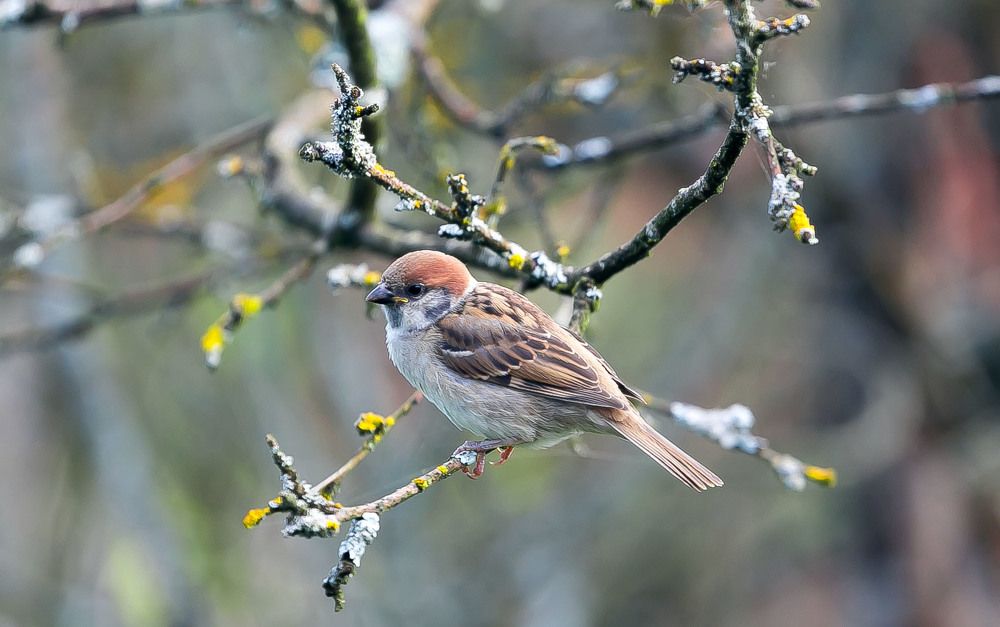 Photograph by Александр Силинский
