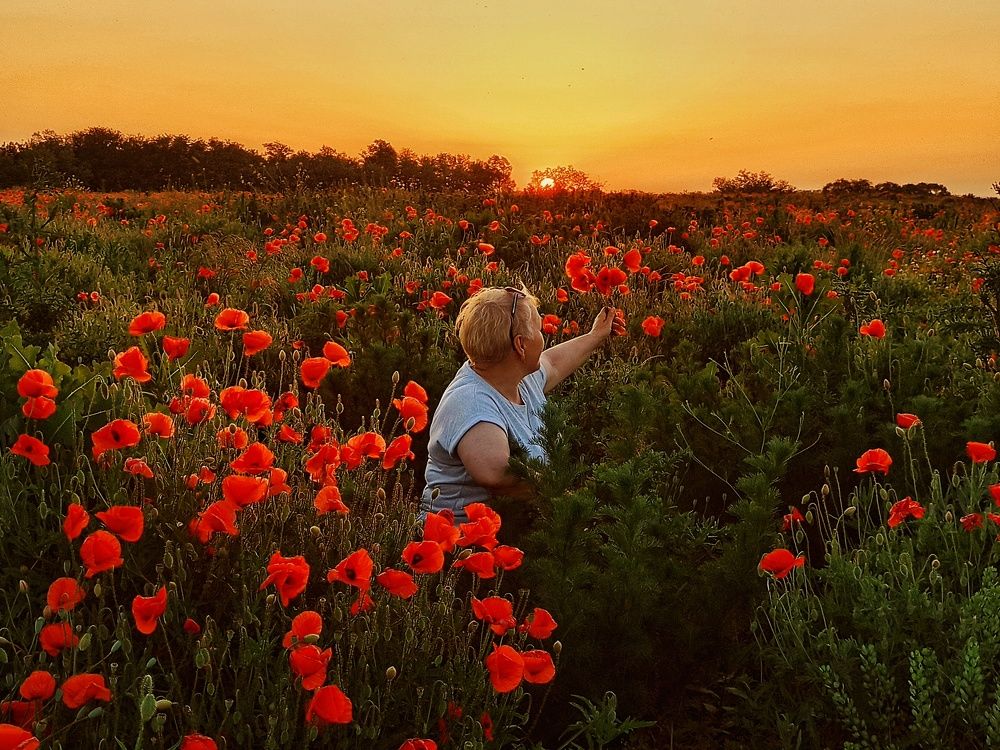 Photograph by Татьяна Долгушева