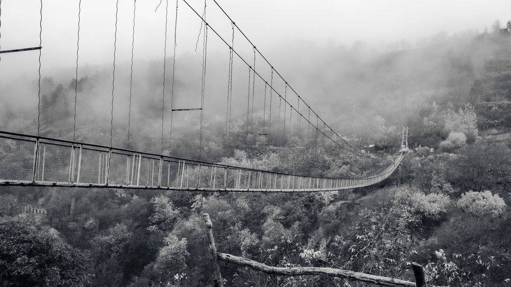 Photograph by Наталья Кокорина