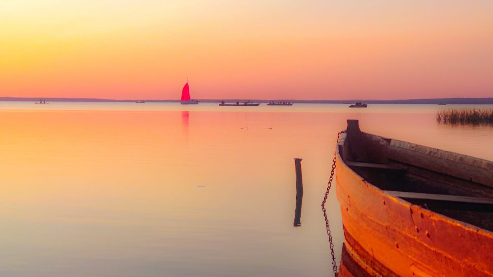 Photograph by Александр Гордиенко