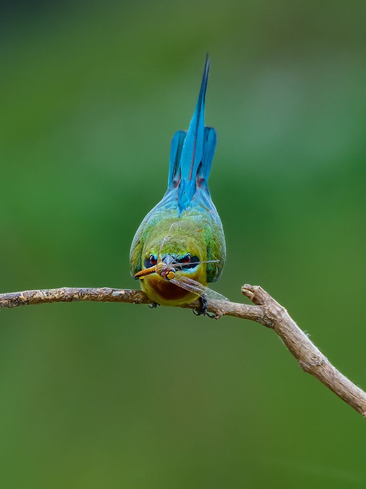 Photograph by Maimom Sajib