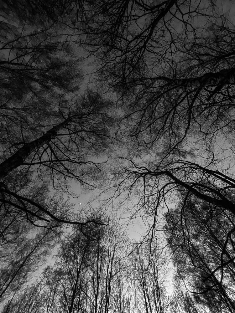 Photograph by Анна Бобкова