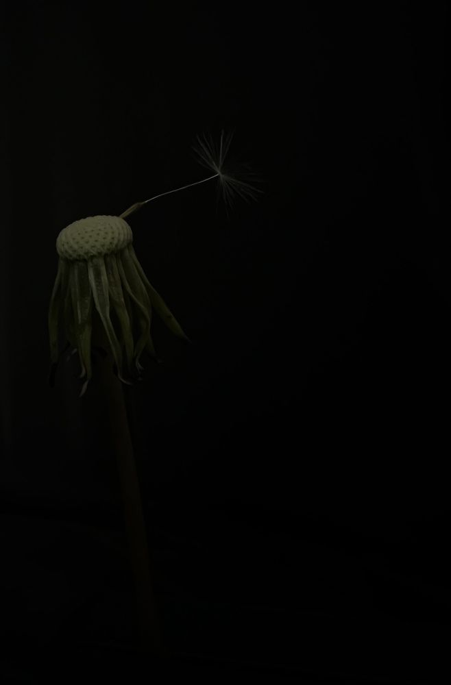 Фотография автора Марина Матьянова