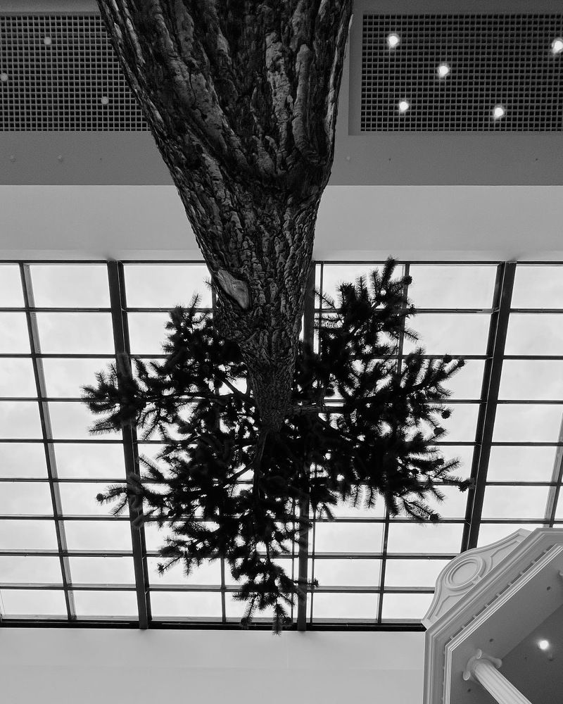 Фотография автора Марина Матьянова