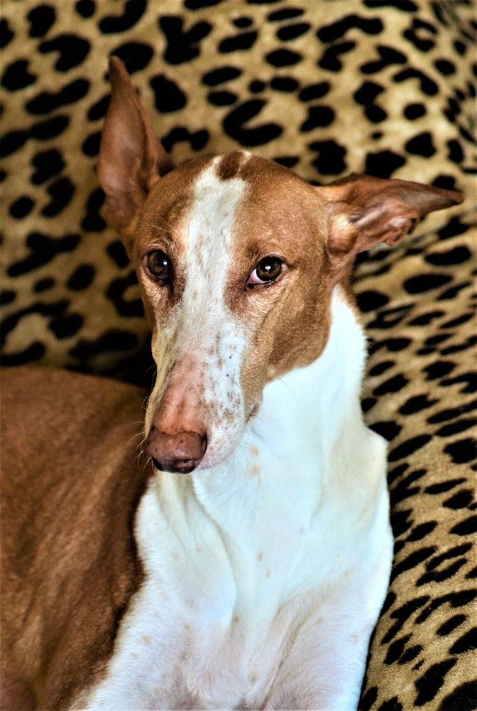 Photograph by Zdeňka Hudcová