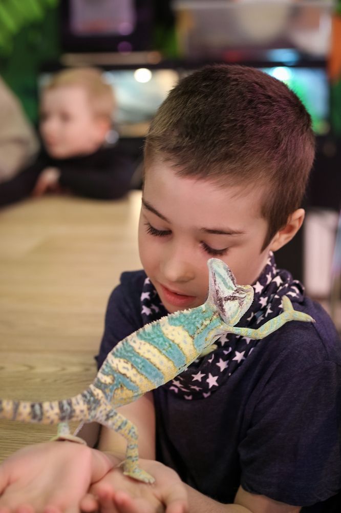 Photograph by Болдырева Елена Сергеевна