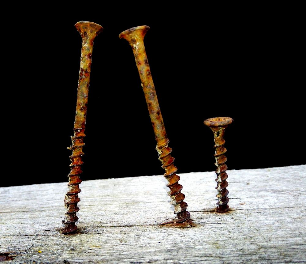 Photograph by Serge S. Pashintsev