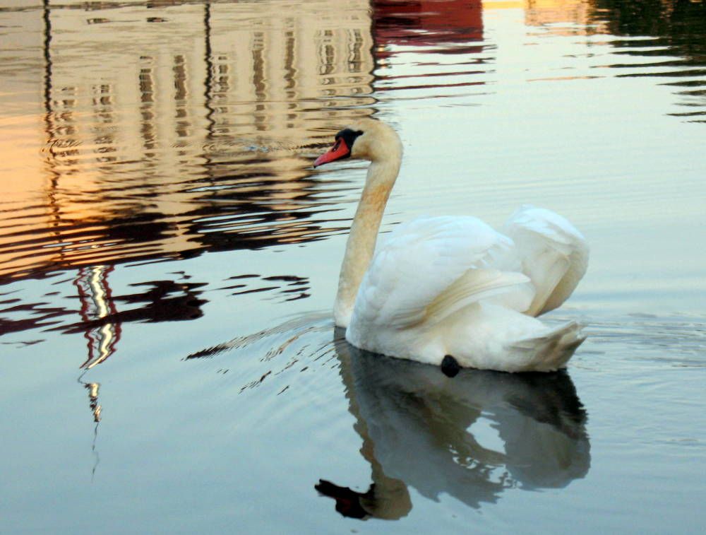 Фотография автора Нина Калинина