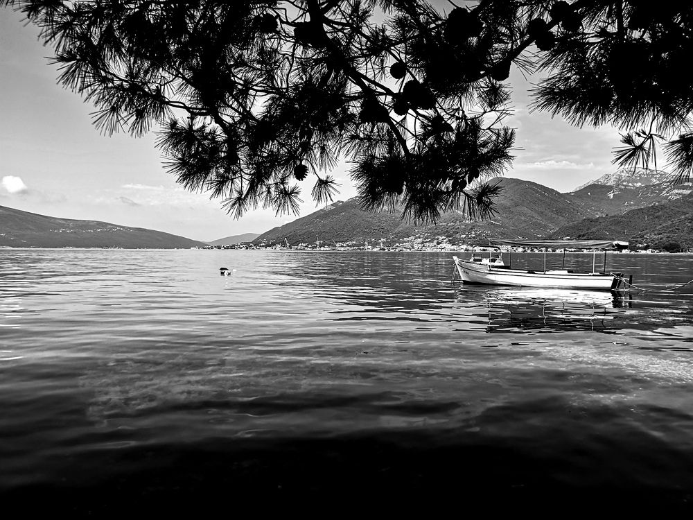 Photograph by Ольга Крестьянинова