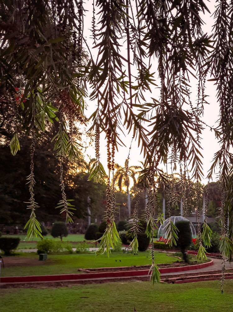 Photograph by Aman yadav