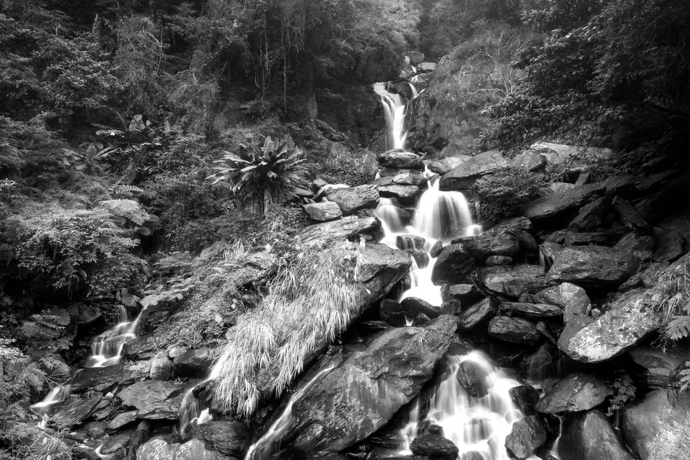 Photograph by Danny lai