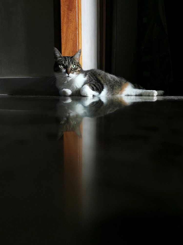 Photograph by Nataliya Povarova