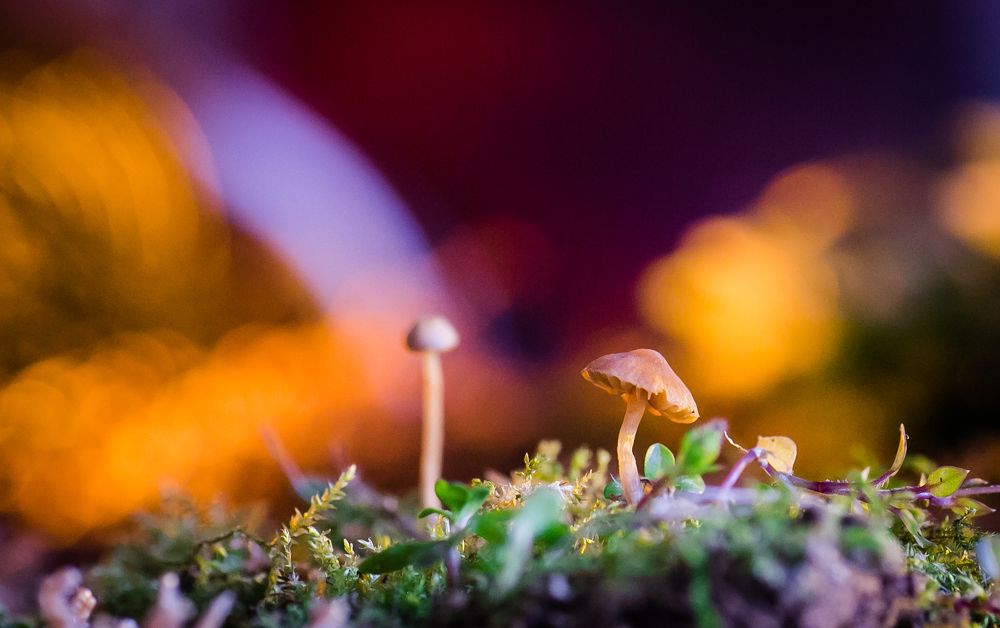 Photograph by Julia Yerdelen