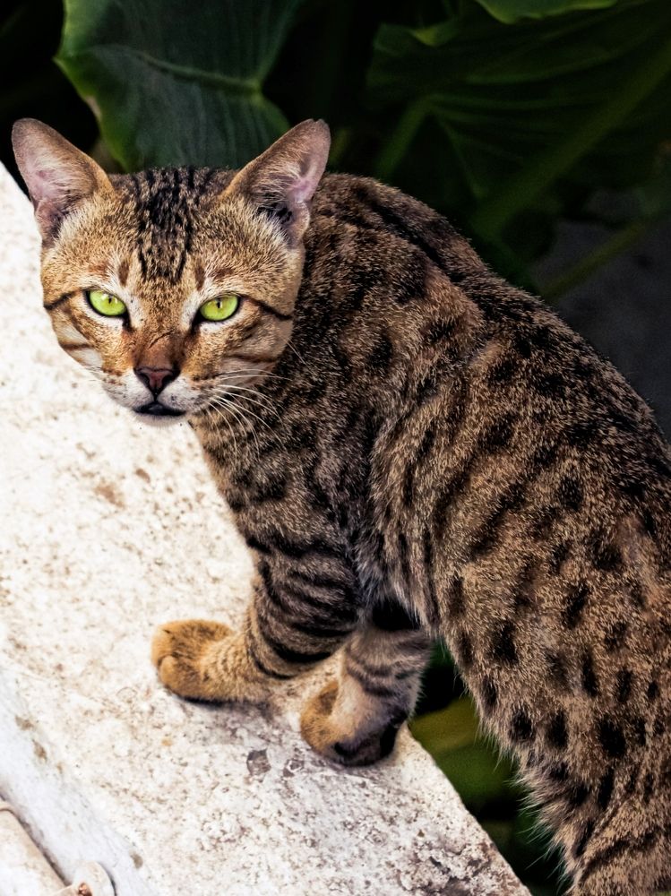 Photograph by Aman yadav