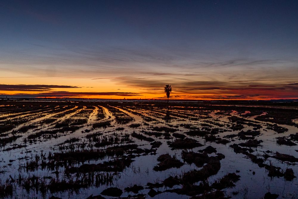 Photograph by Pablo Garces Margaix
