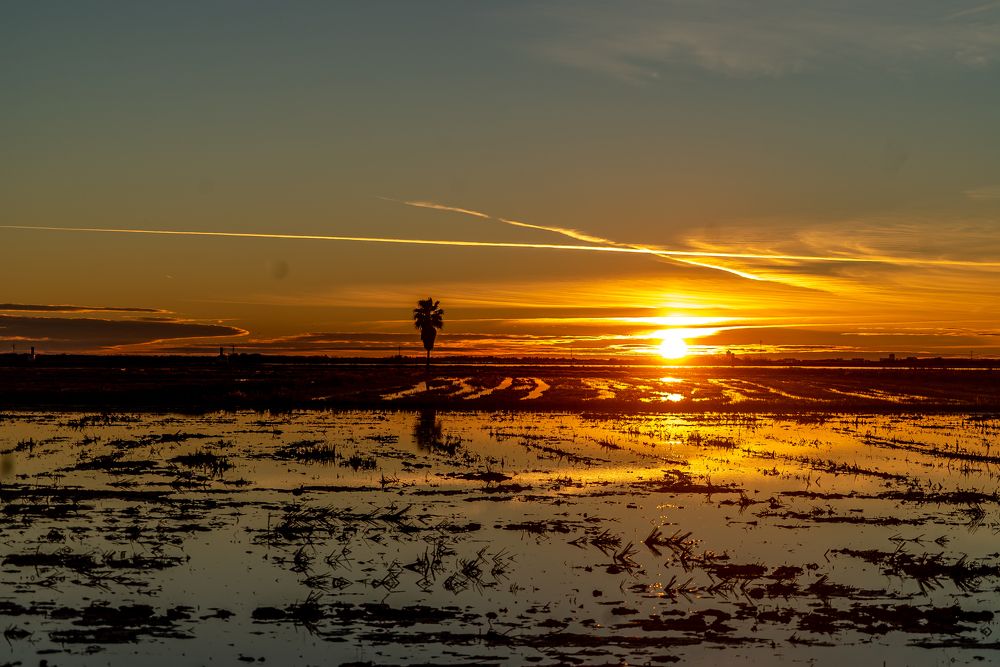 Photograph by Pablo Garces Margaix