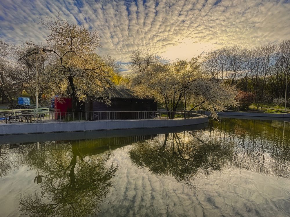 Photograph by Фаина Зеленая