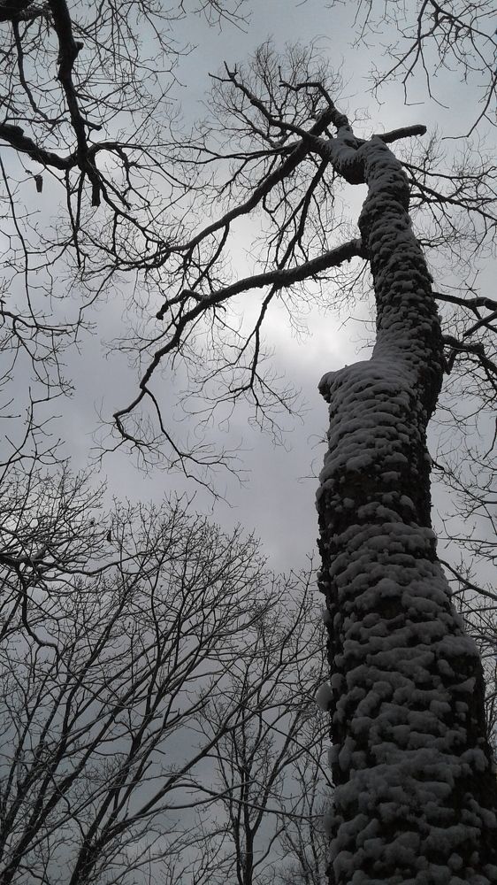 Photograph by Юлия Лихачева