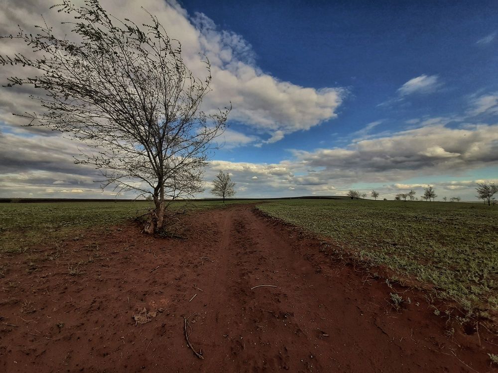 Photograph by Андрей Александрович Молотков