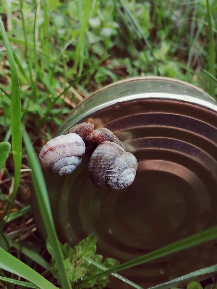 Photograph by Anna Dubinina