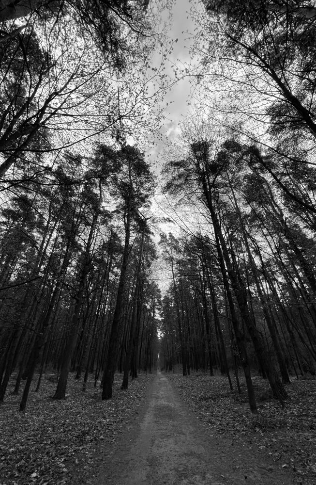 Фотография автора Марина Матьянова