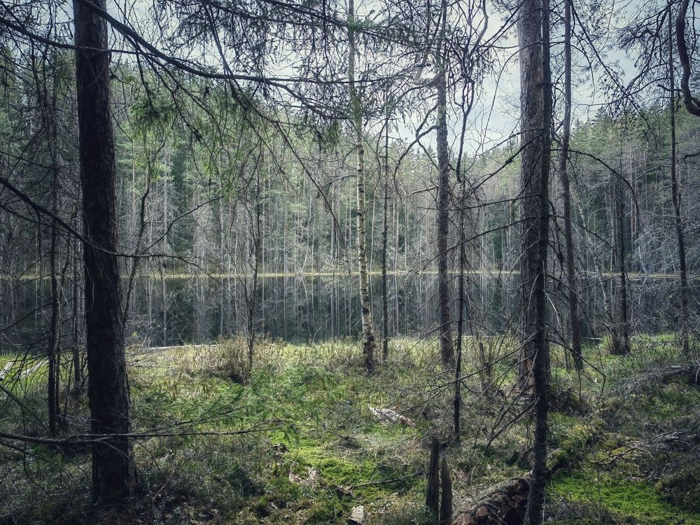 Photograph by Veranika Siratsinina
