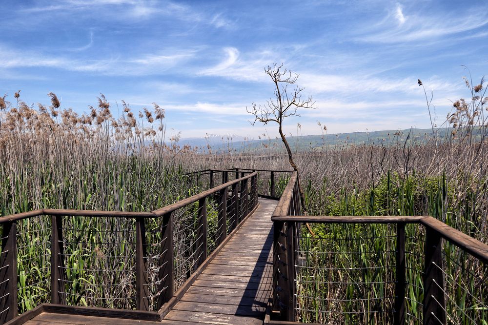 Photograph by Владимир Бутов