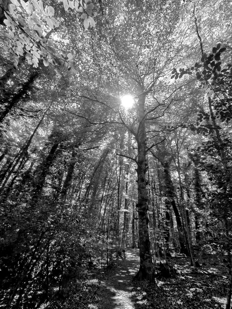 Photograph by Nataliya Povarova