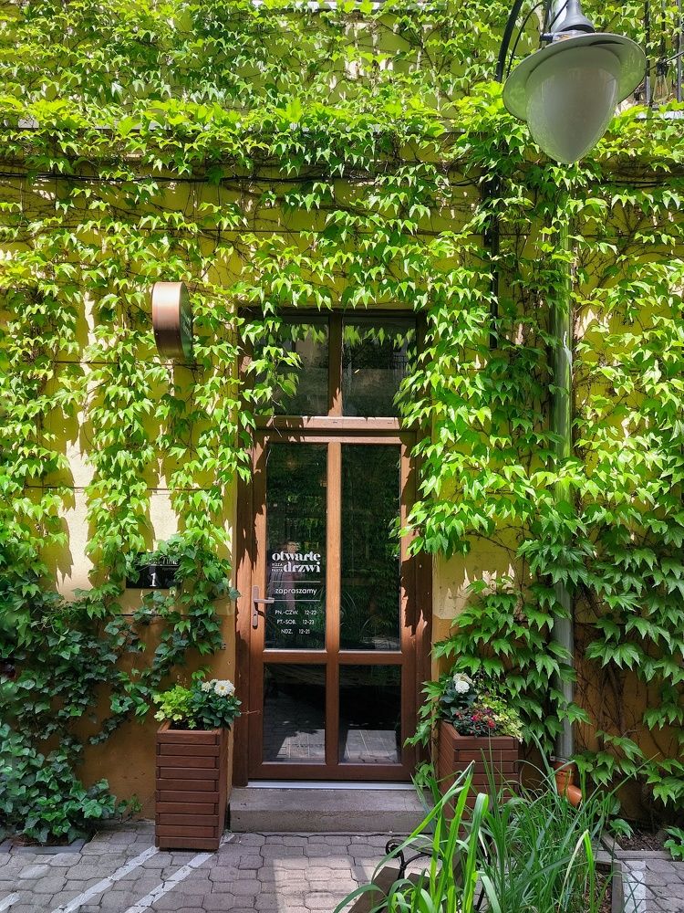 Photograph by Екатерина Дашкевич