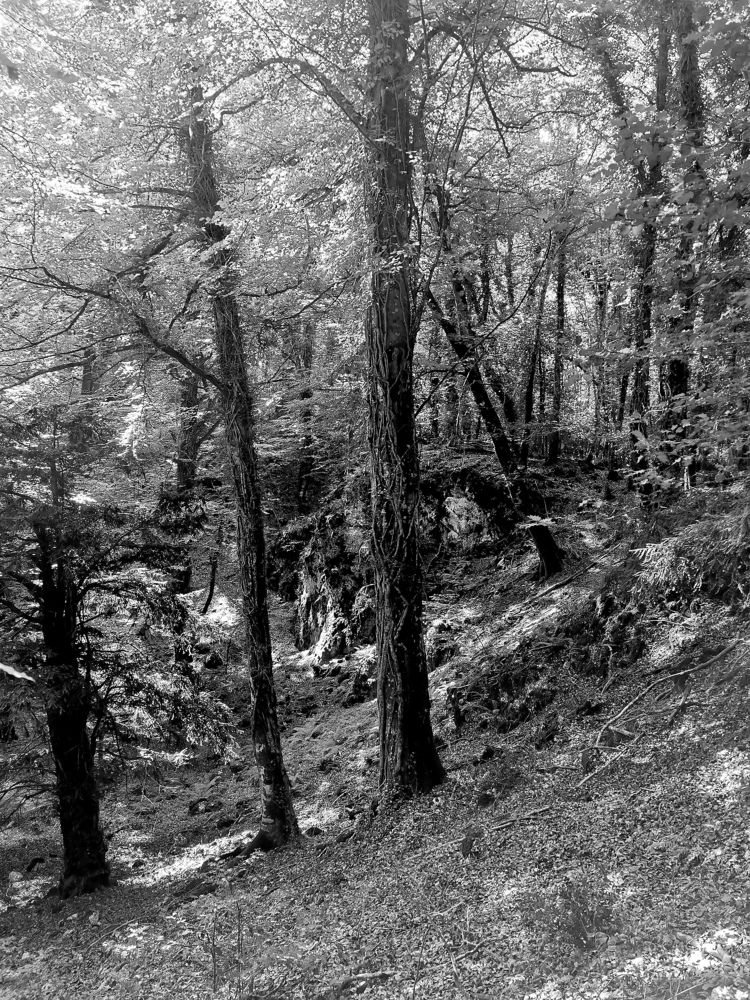 Photograph by Nataliya Povarova