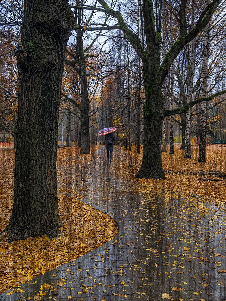 Photograph by Владимир