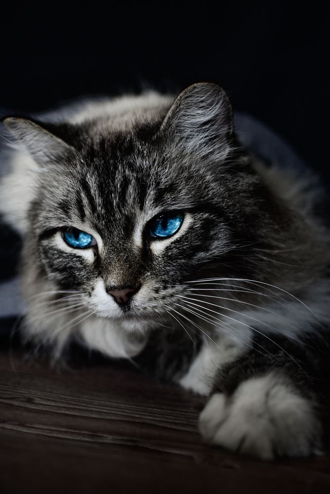 Photograph by Anna Borodina