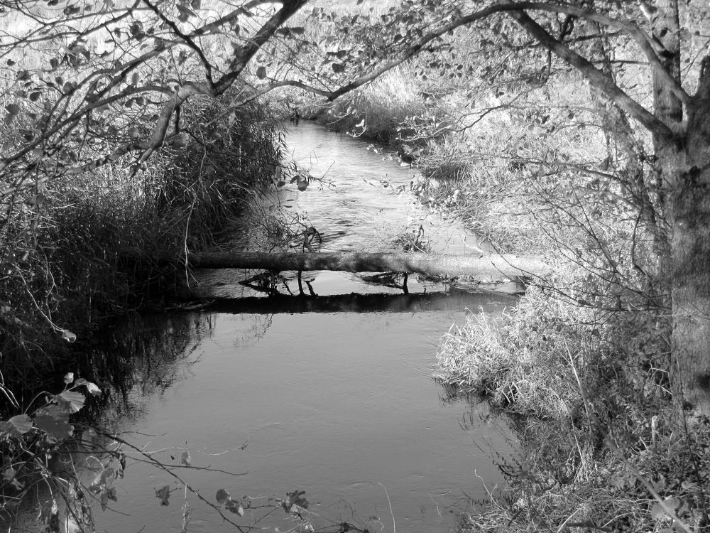 Photograph by Ivan Karavka