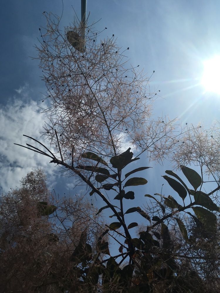 Photograph by Julitta Satori
