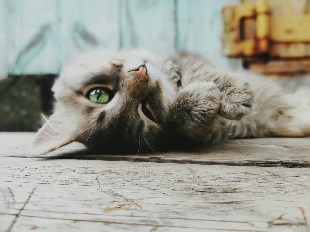 Photograph by Алсу Исмагилова