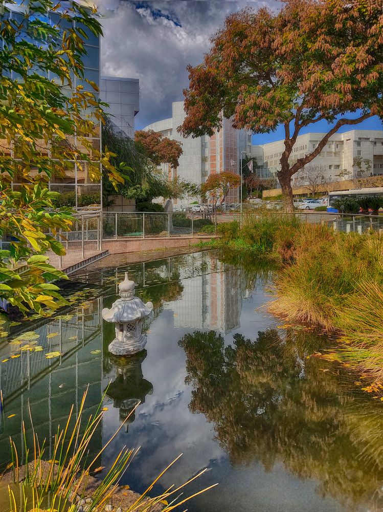 Photograph by Владимир Бутов