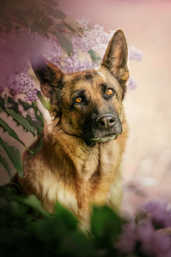 Photograph by Denisa Miazdrová