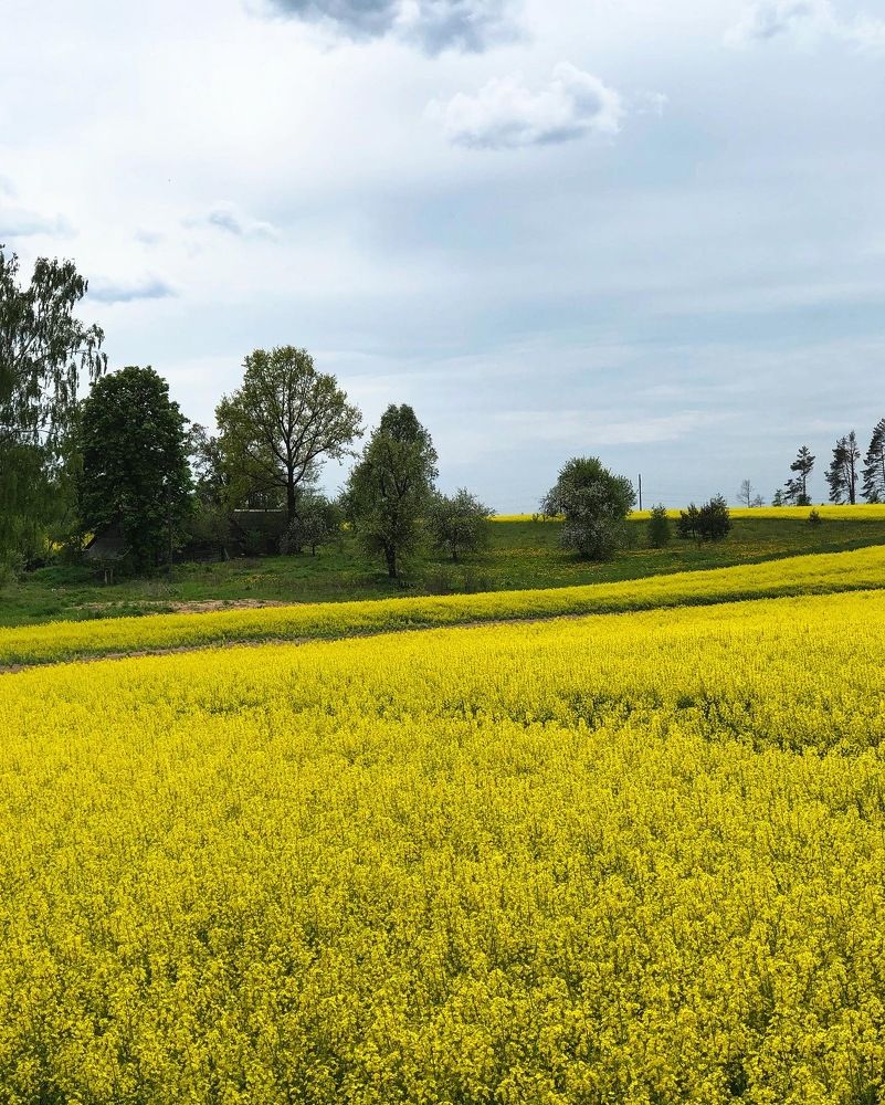 Photograph by Лариса Акинчиц