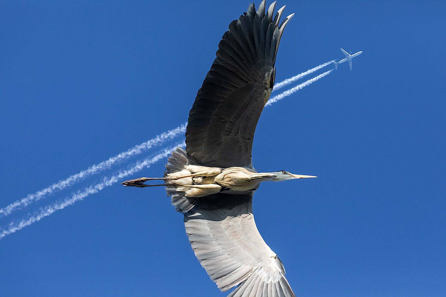 Фотография #7622302