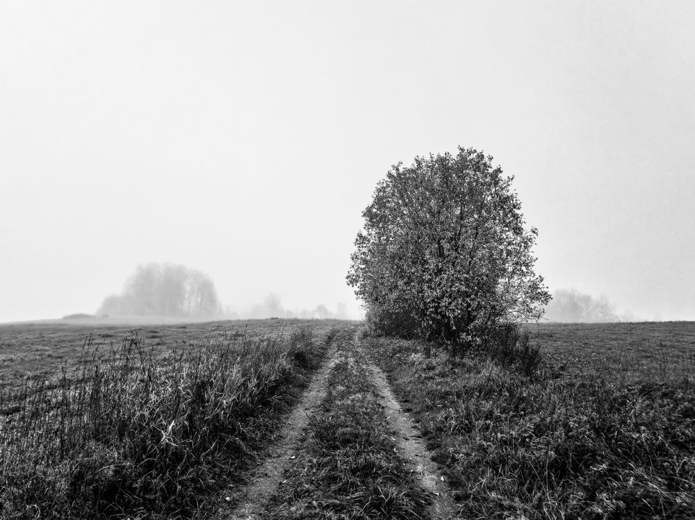 Photograph by Valensia Ludus