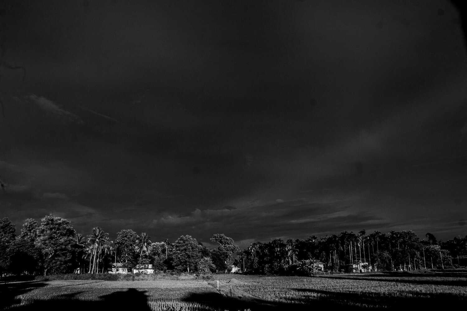Photo #7622451