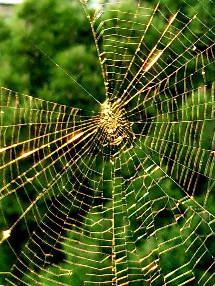 Photograph by Effie Zacharia