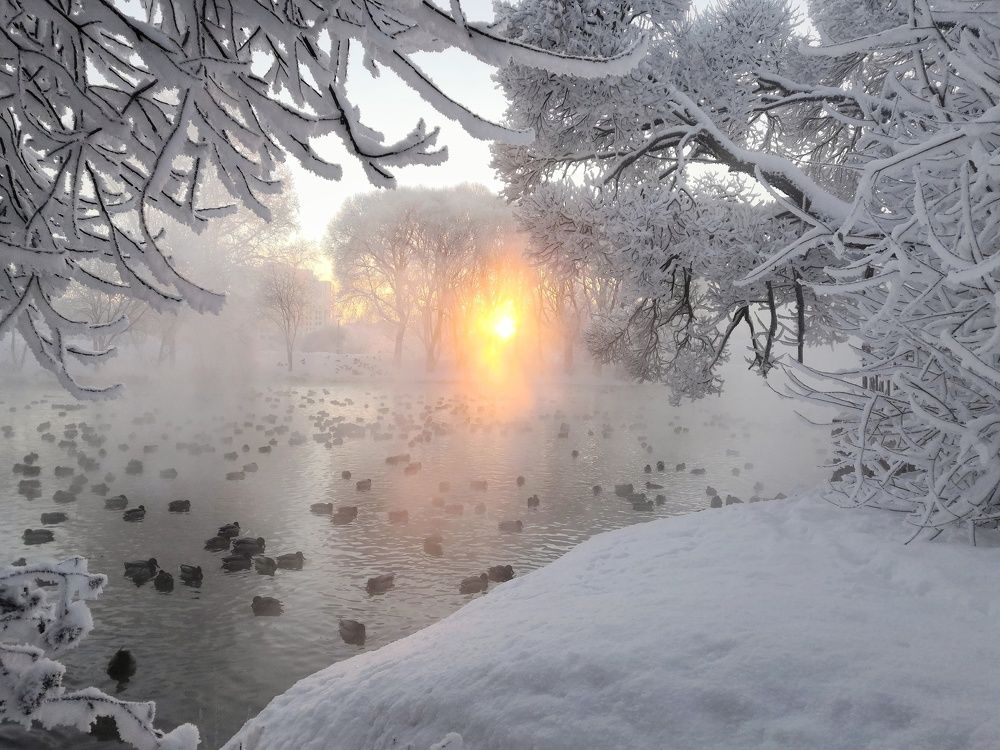 Photograph by Марина Варанкина