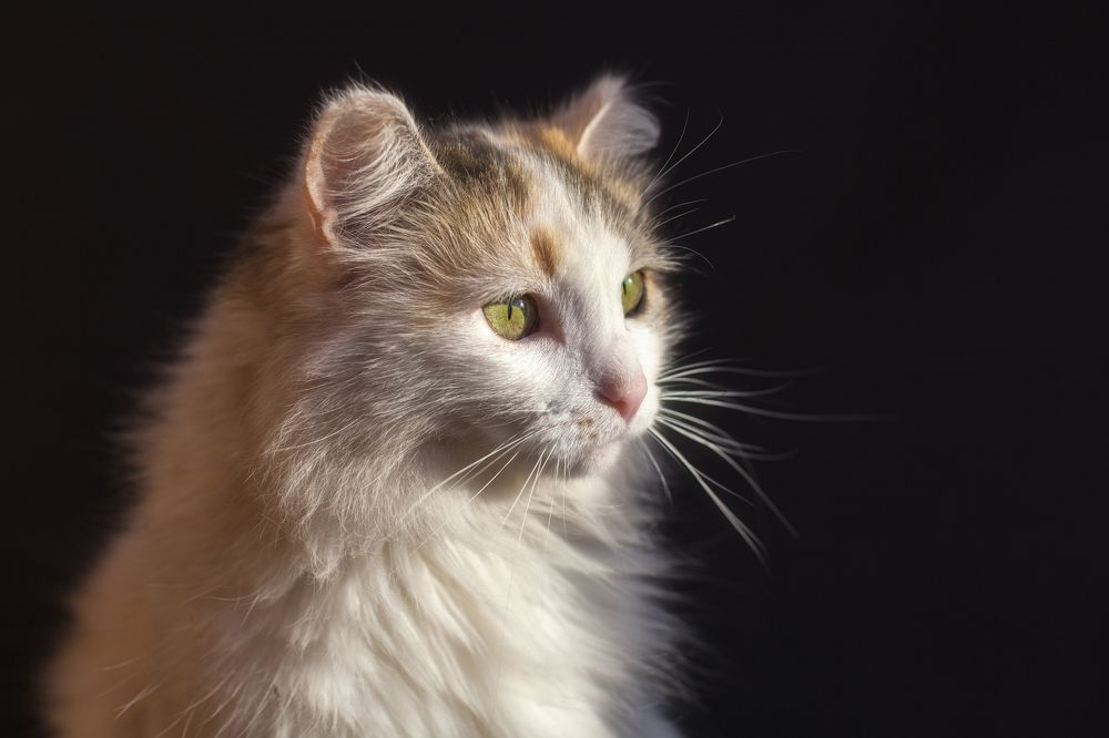 Photograph by Татьяна Назмутдинова