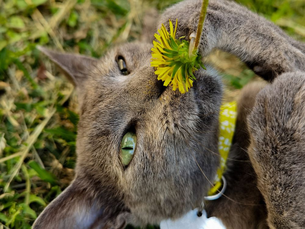 Photograph by Bojana Vein