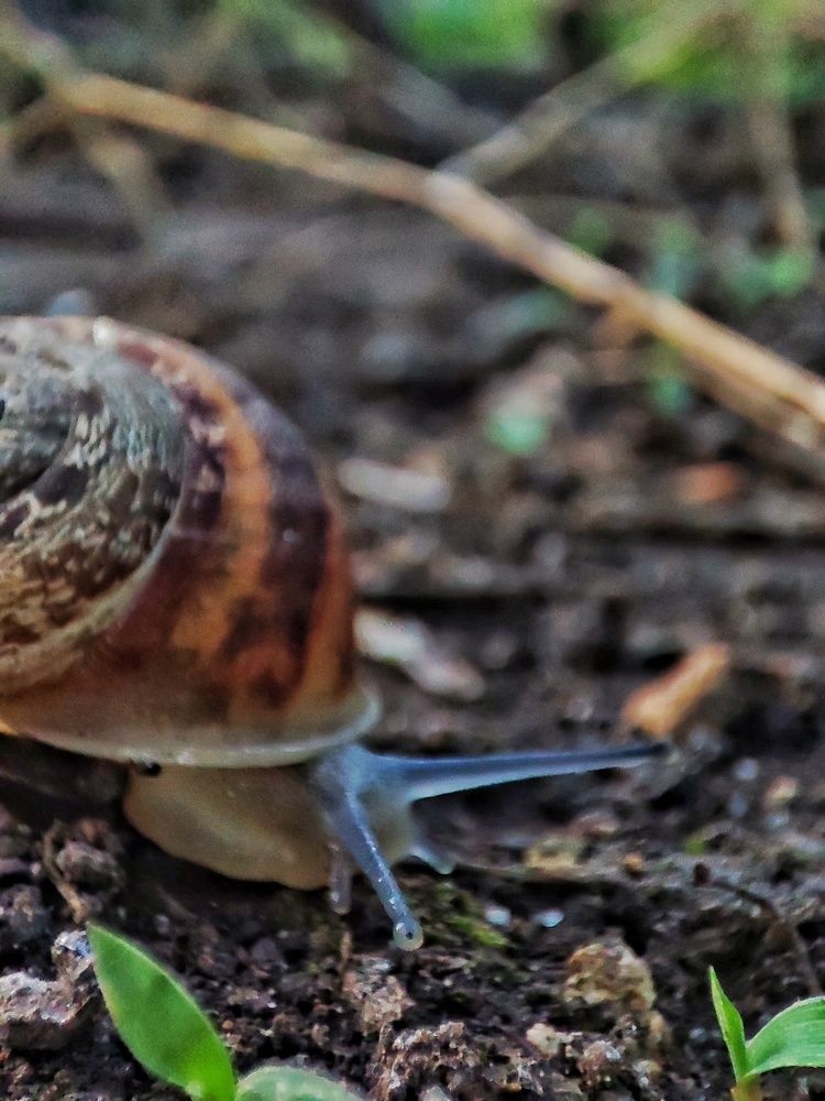 Photograph by Юлия Ламанова