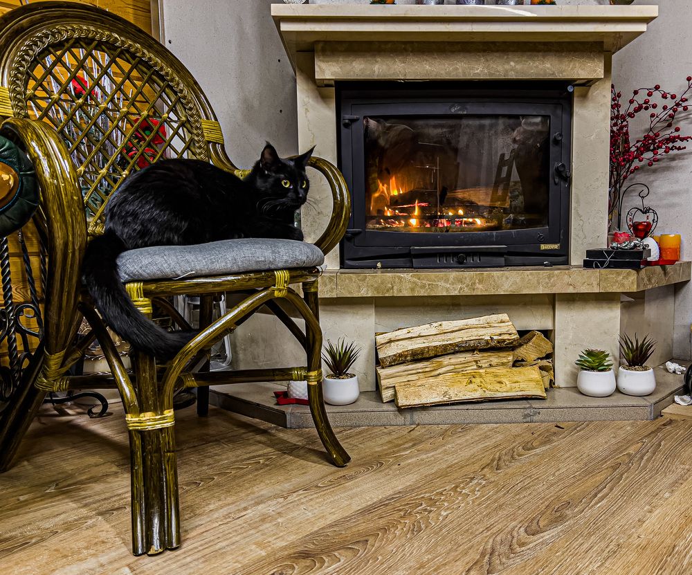 Photograph by Максим Комиссаров