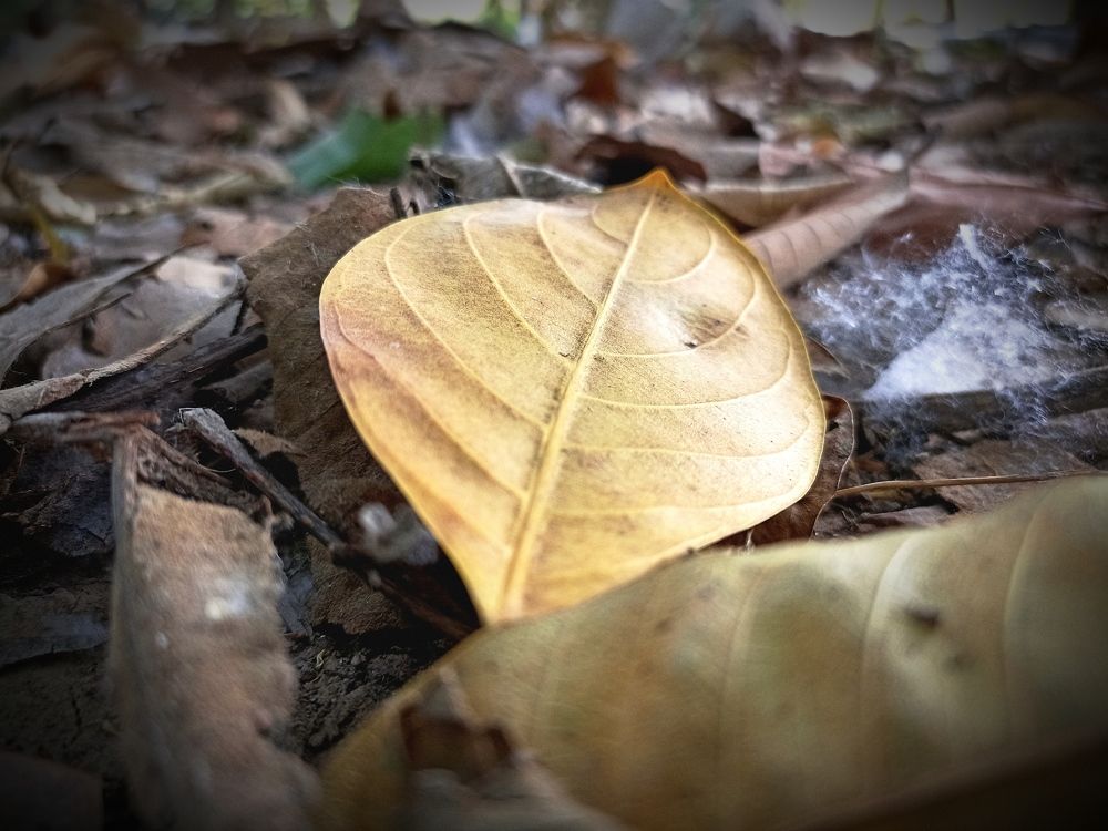 Фотография автора sujit kumar kumar